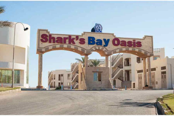 sharks bay oasis